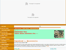 Tablet Screenshot of hipokrattur.com